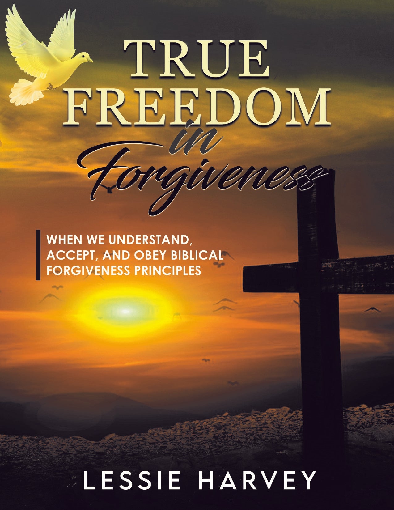 True Freedom in Forgiveness:  When We Understand, Accept, and Obey Biblical Forgiveness Principles